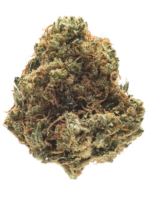 jet flyin strain|Jet Fuel aka G6, Jet Fuel OG, Jet Fuel G6, Jet Fuel Kush, G6